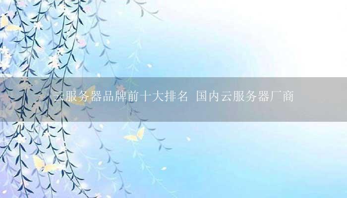 云服务器品牌前十大排名 国内云服务器厂商?(图1)