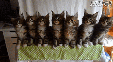 深入探究 HTML5 中实现无序序列横向处理的技巧与方法,HTML5 中无序序列横向处理的技巧与方法探究(图12) 答:还可以利用 JavaScript 动态操作,或者借助前端框架和库的相关功能。