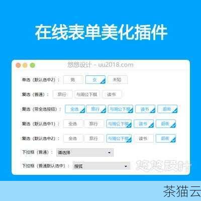 轻松掌握 HTML 中单选框的制作方法与技巧,轻松学会 HTML 单选框制作(图13) 问题三:如何对单选框进行样式美化?