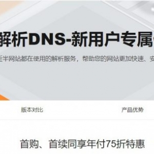 阿里云解析DNS活动：域名解析100%的服务性保障,云解析DNS仅需36元/年起