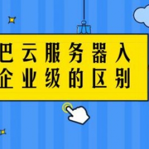 阿里云服务器ecs入门级和企业级有何区别？