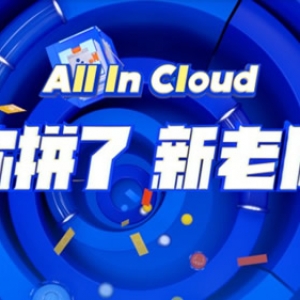 阿里云香港云服务器 双11拼团价格1年119元