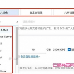 阿里云服务器镜像类型有哪些?阿里云镜像系统如何选择?