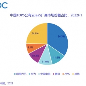 IDC：2022上半年中国公有云服务市场整体规模达165.8亿美元