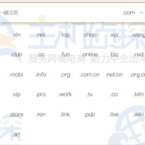 RAKsmart域名服务上线 国际.com域名低至$10.99/年