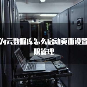 华为云数据库怎么启动页面设置权限管理