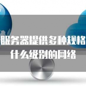 华为云服务器提供多种规格型号是什么级别的网络