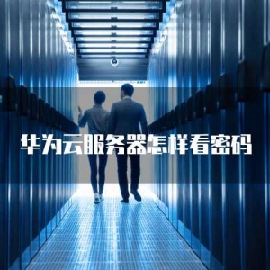 华为云服务器怎样看密码