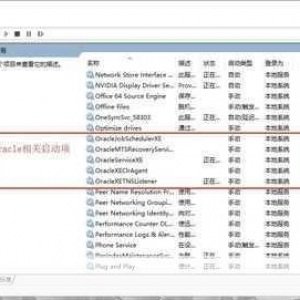 深入剖析，Oracle 中 Contains 函数使用无效的疑难解惑，Oracle 中 Contains 函数使用无效的深度剖析与解惑