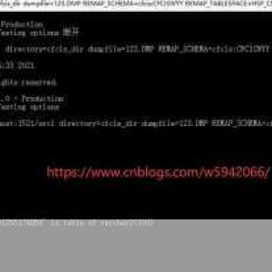 深入解析，Oracle 的 DMP 文件导入全攻略，Oracle DMP 文件导入深度解析全攻略
