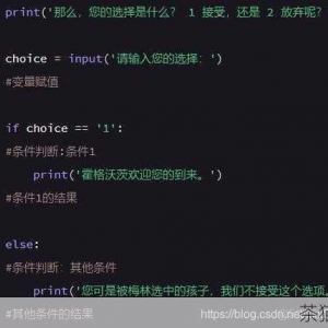 Python 中神奇的 input 函数，用法全解析，Python 中 input 函数的神奇用法全解析