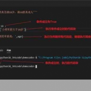 深入探究 Python 中判断键是否存在的多种巧妙方法，Python 中判断键是否存在的多种方法探究