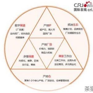 全面指南，详细解析将域名与云服务器 IP 绑定的具体步骤，域名与云服务器 IP 绑定步骤全面指南