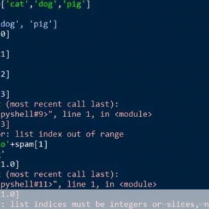 全面解析 Python 中的替换操作技巧与方法，Python 中替换操作技巧与方法全面解析
