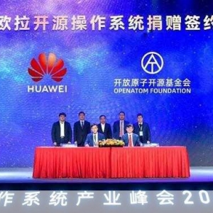 深入探究 Debian 系统中的 curl 工具及其强大功能，Debian 系统中 curl 工具的深入探究与强大功能剖析