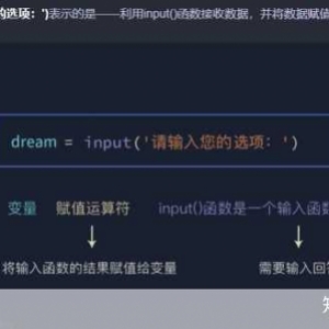 深度剖析 Python 中的 input 函数，功能与应用，深度剖析 Python 中 input 函数的功能及应用