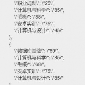 深入探究 Python 中如何高效提取 JSON 数据，Python 中高效提取 JSON 数据的深入探究
