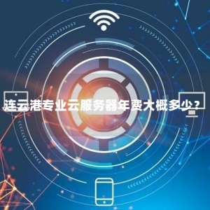 连云港专业云服务器年费大概多少？