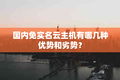 国内免实名云主机有哪几种优势和劣势？