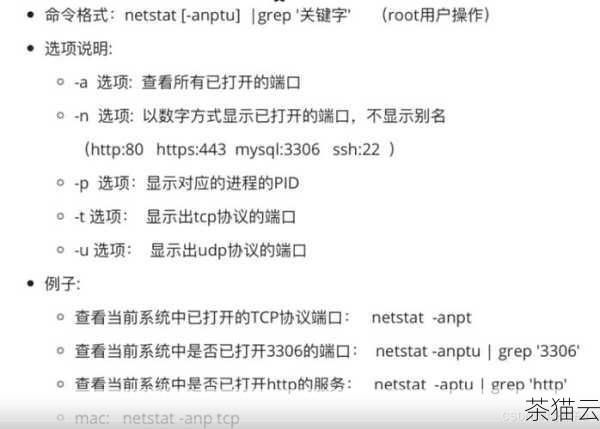 对于查看进程端口号，以下是一些常见问题的解答：