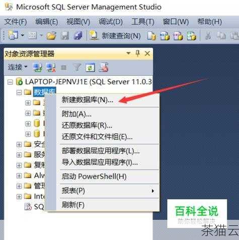 详细指南,宝塔面板安装 SQLServer 全流程图文教程,宝塔面板安装 SQLServer 详细图文全流程指南(图12) 问题三:安装完成后如何连接 SQLServer 数据库?