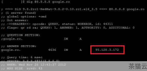 1、Google Public DNS：这是由谷歌提供的 DNS 服务，其 DNS 服务器地址为 8.8.8.8 和 8.8.4.4，它以快速响应和稳定性而受到许多用户的青睐。