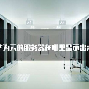 华为云的服务器在哪里显示出来