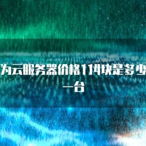 华为云服务器价格114块是多少钱一台