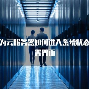 华为云服务器如何进入系统状态设置界面