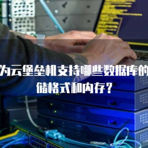 华为云堡垒机支持哪些数据库的存储格式和内存？