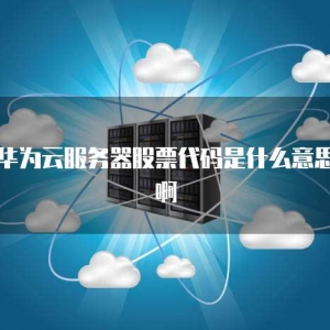 华为云服务器股票代码是什么意思啊