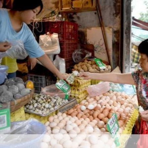 深度解析盐城网站优化，方法与重要性全知晓，深度剖析盐城网站优化，方法及重要性一览