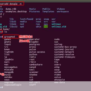 Linux 中 cd 命令的位置及相关解析，Linux 中 cd 命令的位置与解析