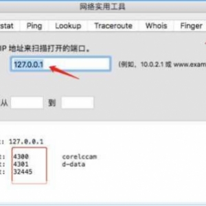 深入探究 Linux 中查看进程端口号的多种实用方法，Linux 中查看进程端口号的实用方法探究