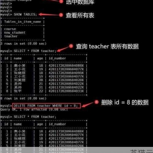 深入解析，MySQL 中删除数据库记录的多种方法，MySQL 中删除数据库记录的多种解析