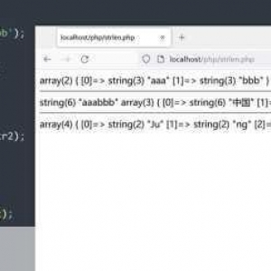 深入探究 PHP 中正确计算中文字符串长度的方法与技巧，PHP 中计算中文字符串长度的方法与技巧探究