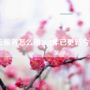 华为云服务怎么用