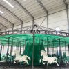 European Style Luxury Carousel